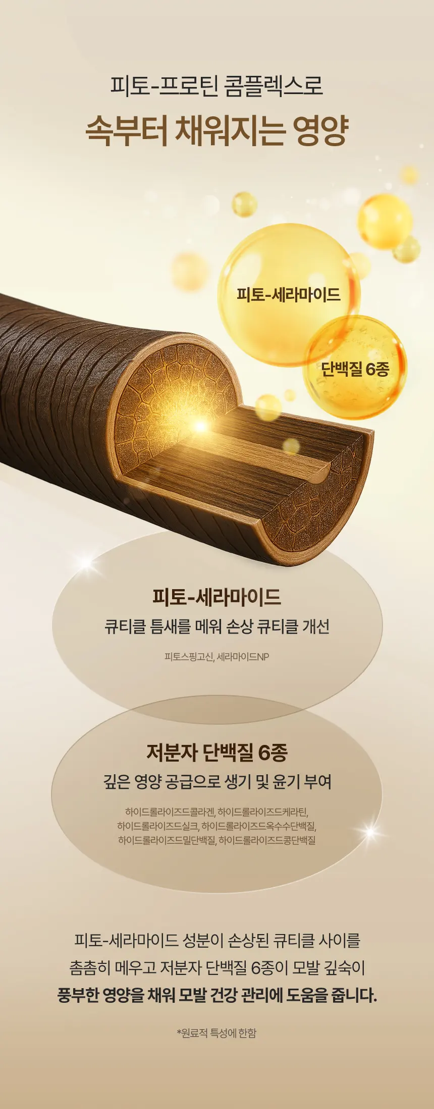 [모발윤기]모로코 아르간 헤어 오일 에센스 100ml Detail