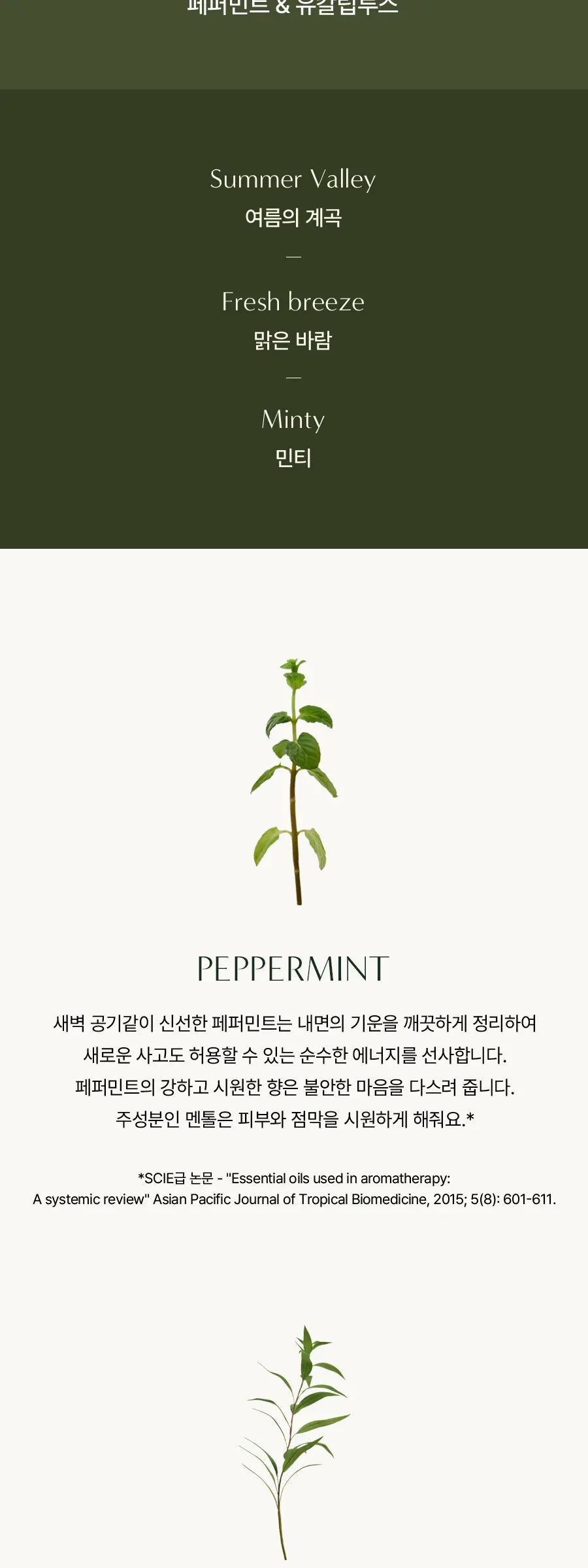 어웨이크닝 바디오일 페퍼민트&유칼립투스 100ML Detail
