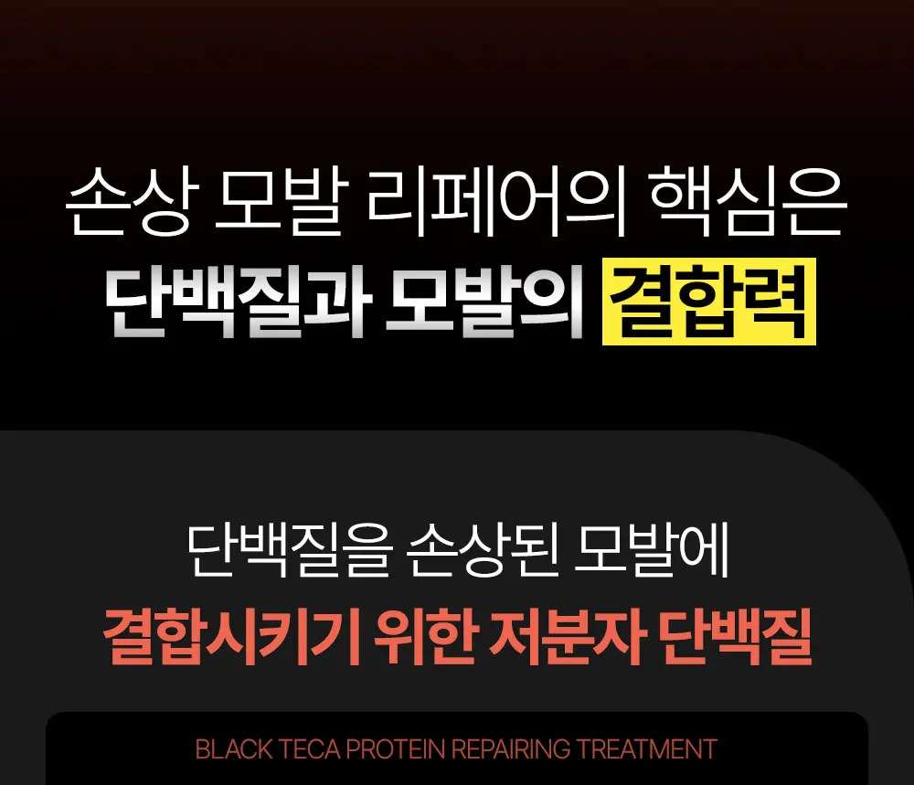 블랙테카 단백질 리페어링 트리트먼트 100ml Detail