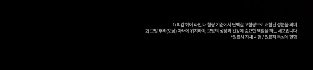 블랙테카 단백질 리페어링 트리트먼트 100ml Detail