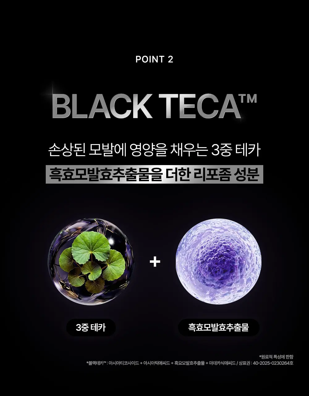 블랙테카 단백질 리페어링 트리트먼트 100ml Detail
