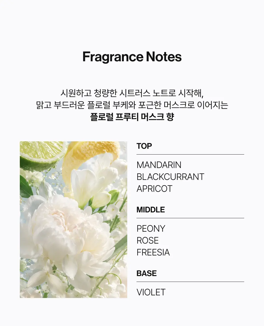 그로우턴 블루 히알루론산 캡슐 브러쉬 앰플 100ml 1개 Detail