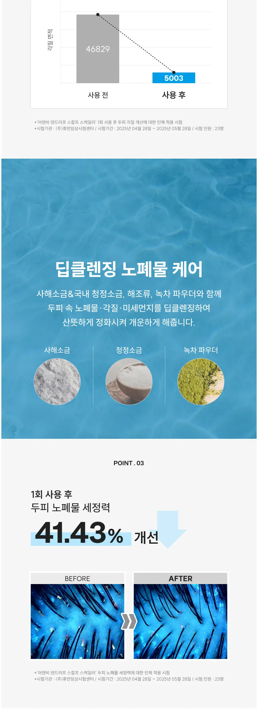 댄드러프 스칼프 스케일러 150g Detail
