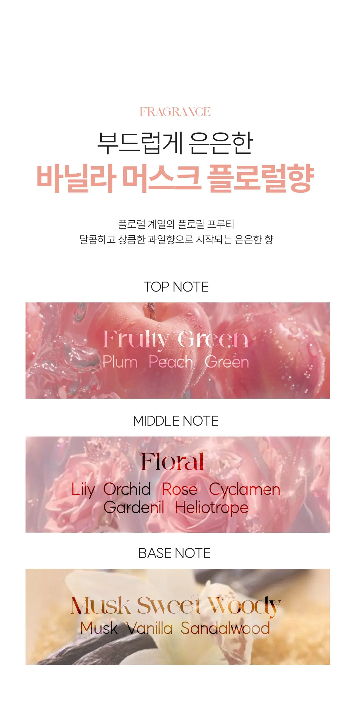 콜라겐 리더 크림 150g Detail