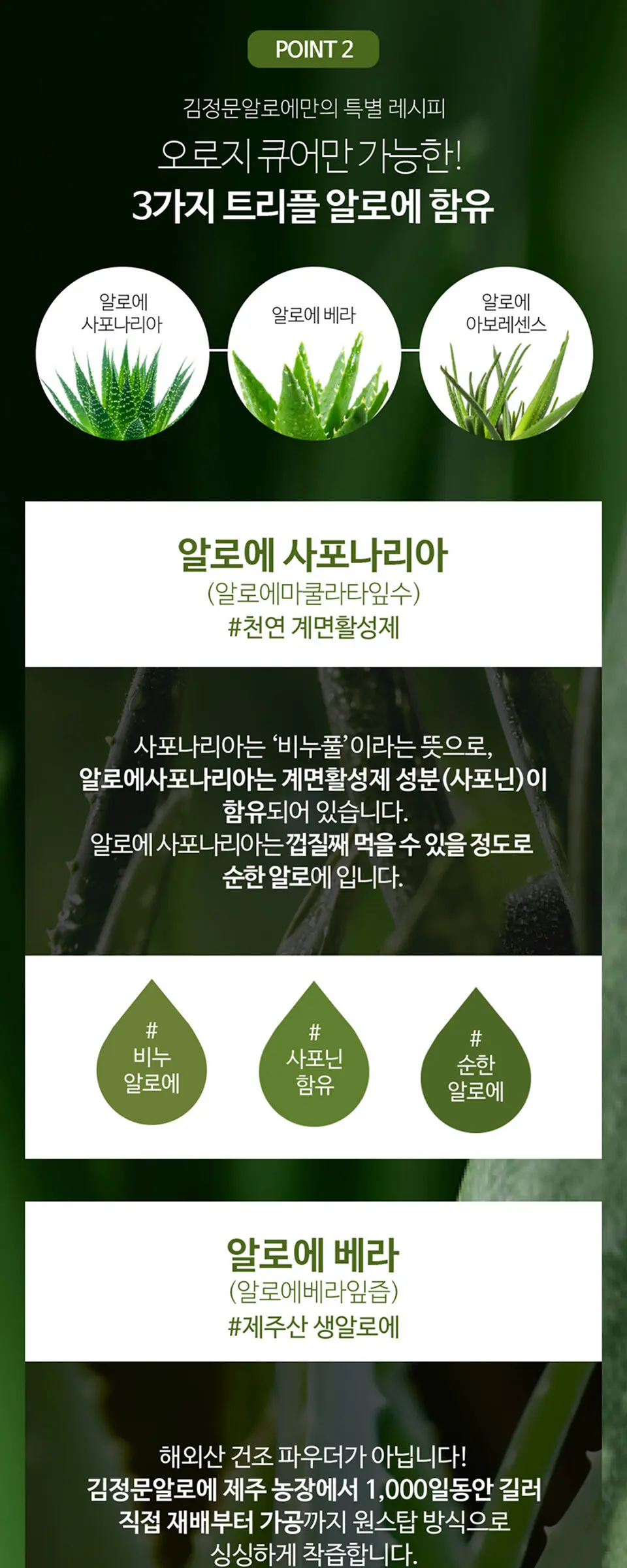 라센스 로에 큐어 사포나리아 알로에 클렌져 1975 Detail