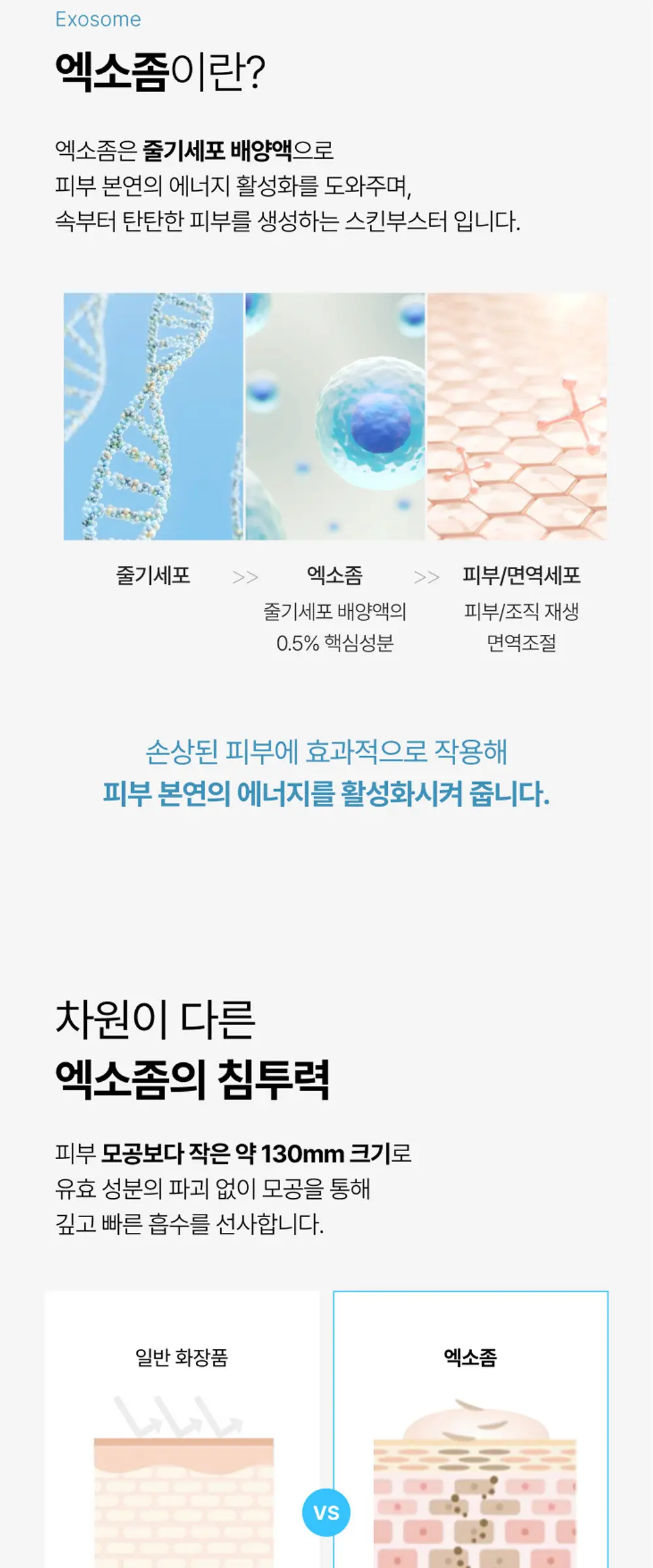 부활초 엑소좀 딥리프팅 콜라겐 마스크 1매 Detail