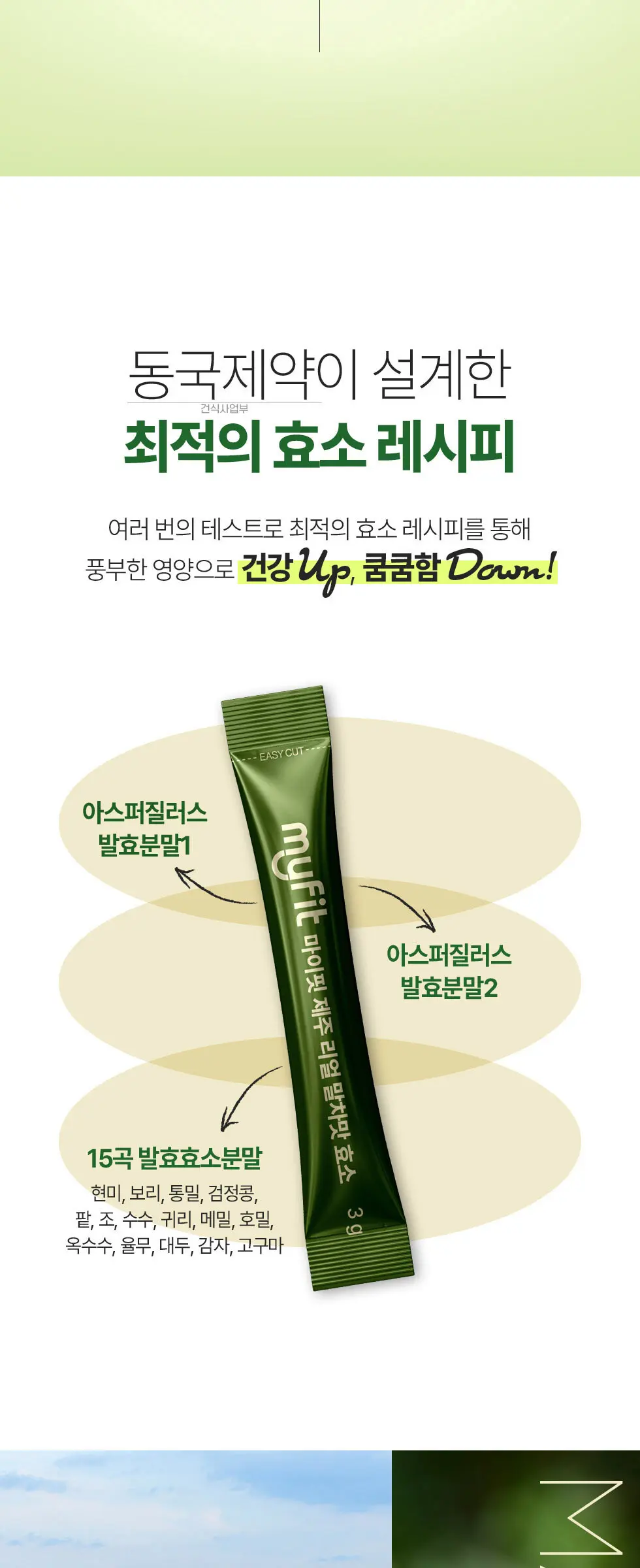 마이핏 제주 리얼 말차맛 효소 1박스 Detail