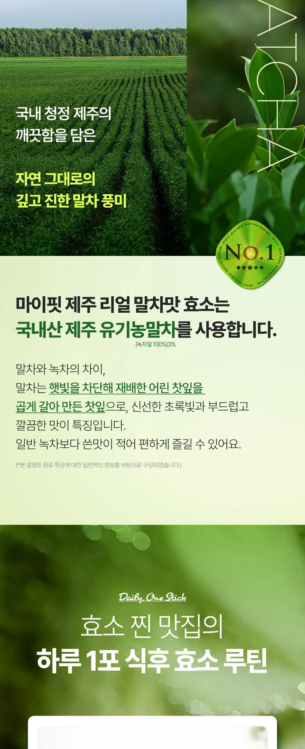 마이핏 제주 리얼 말차맛 효소 1박스 Detail
