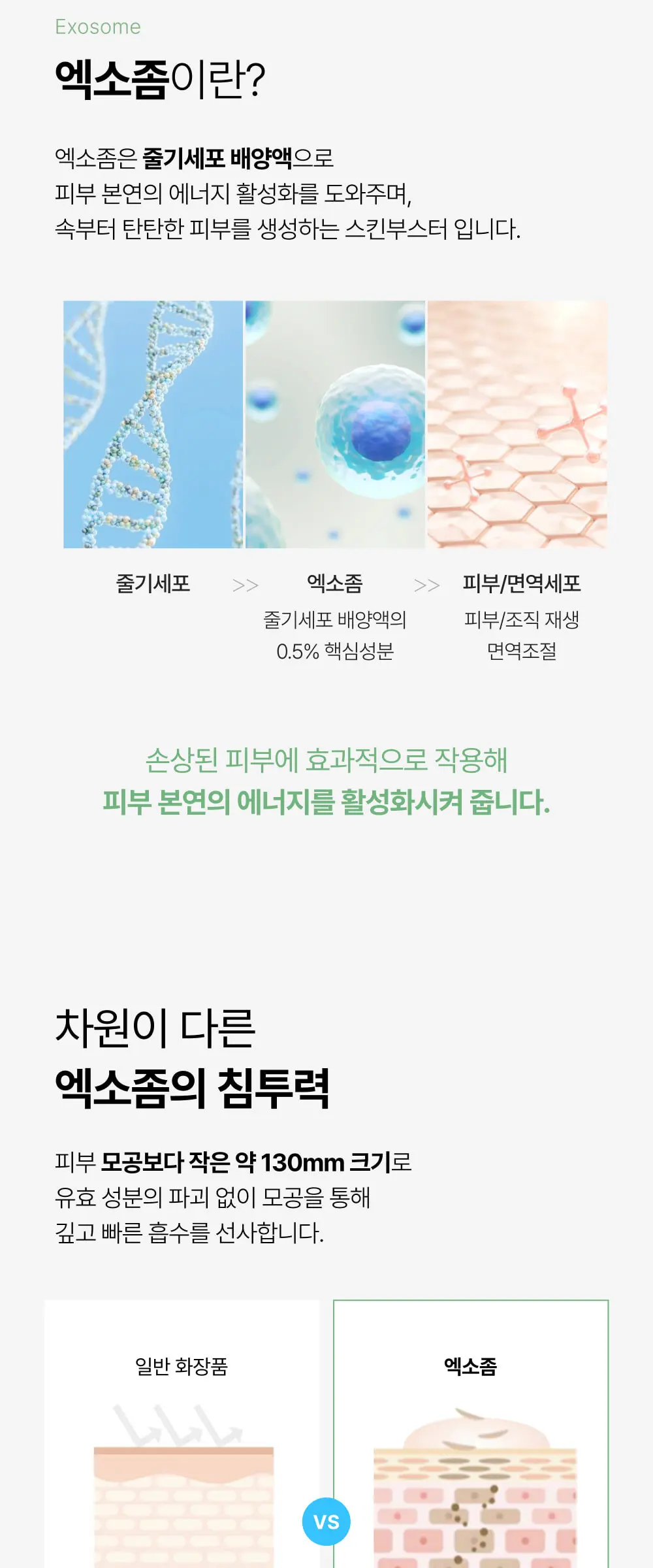 어성초 엑소좀 딥릴렉스 콜라겐 마스크 1매 Detail