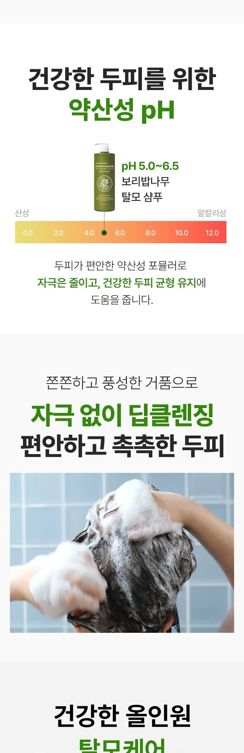 닥터방기원 보리밥나무 탈모 샴푸, 1L, 1개 Detail