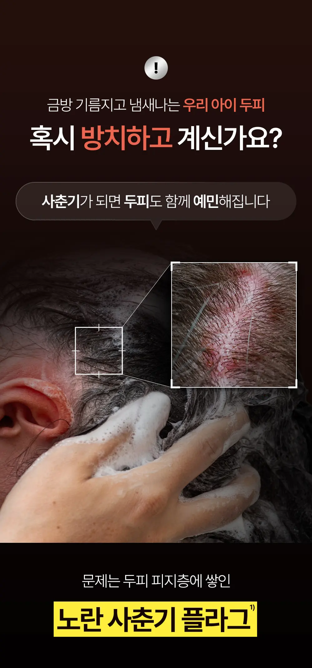 블랙테카 스칼프 샴푸 200ml Detail