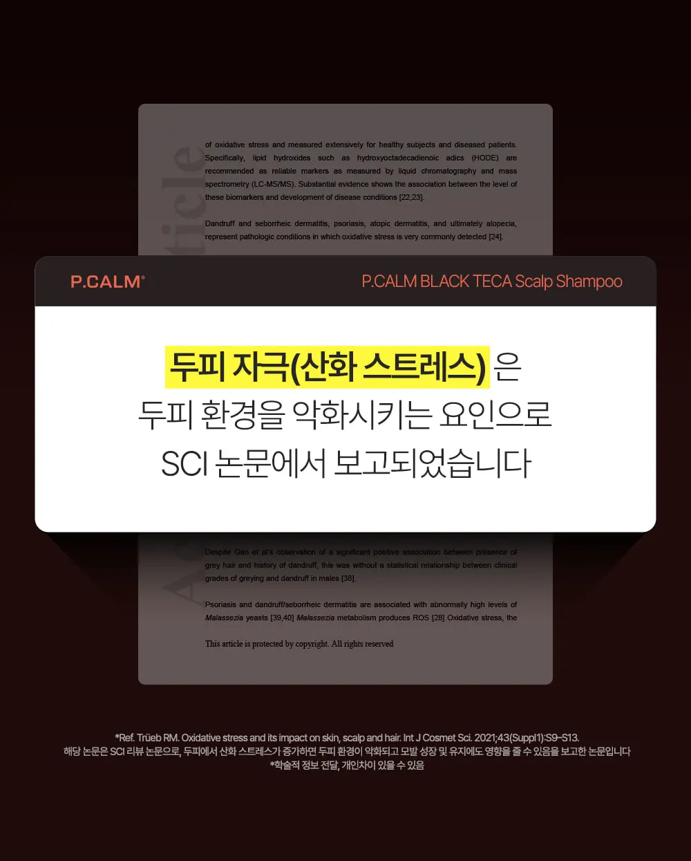 블랙테카 스칼프 샴푸 200ml Detail
