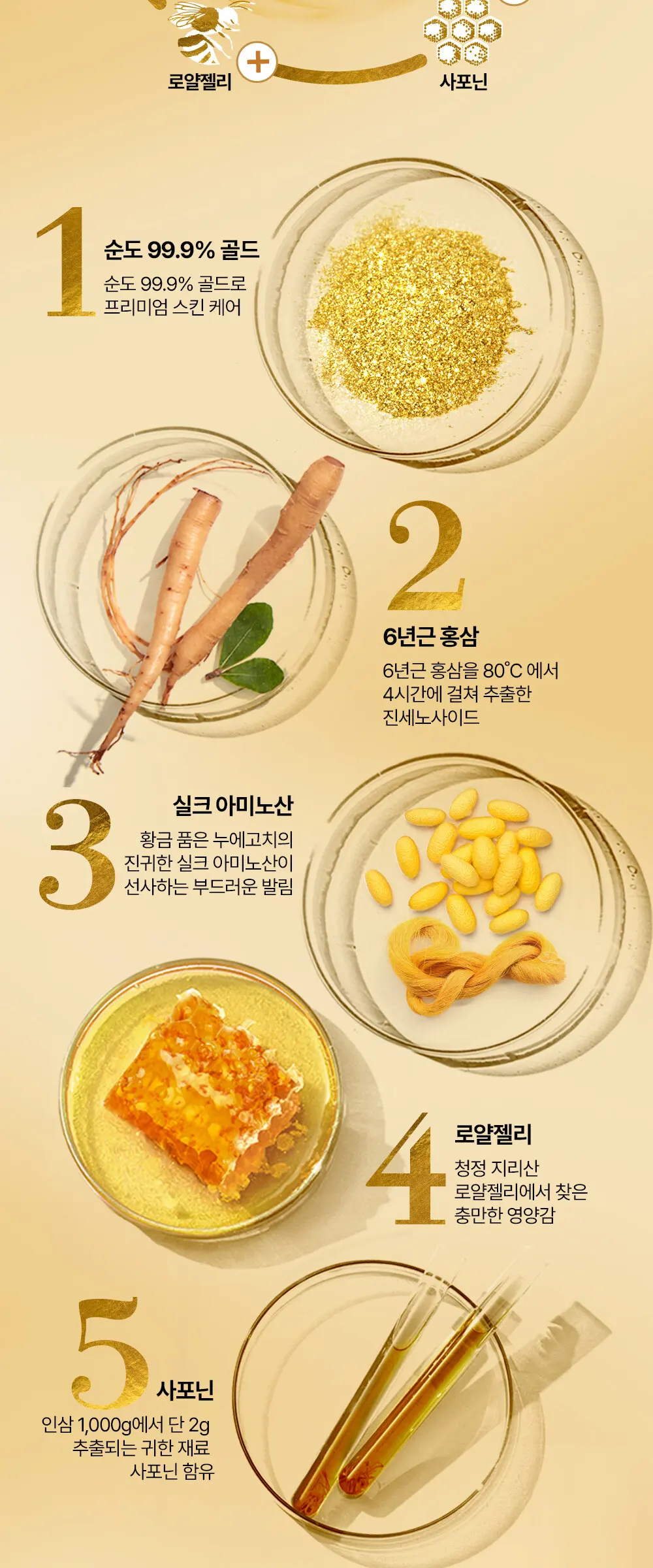 진생 로얄 실크 24K 골드 앰플 Detail