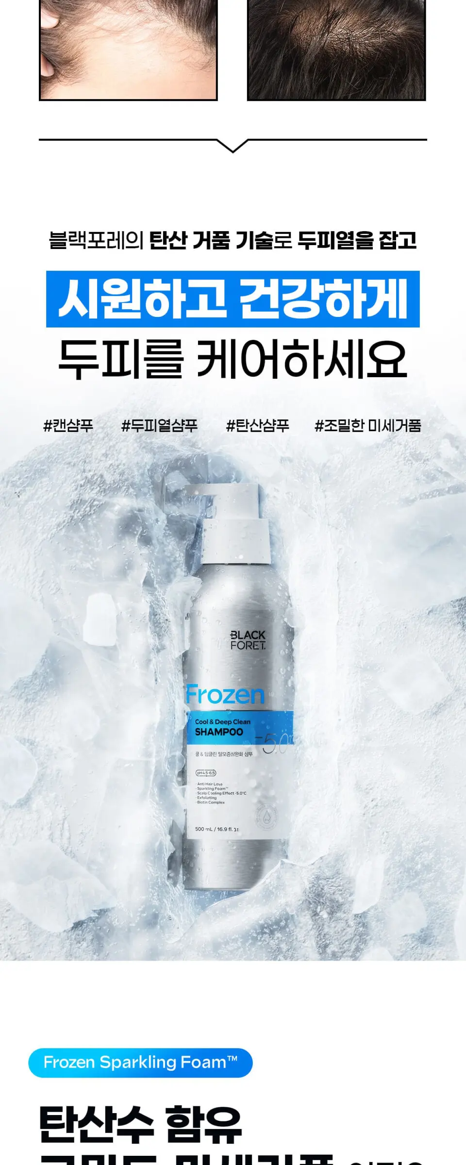 블랙포레 쿨&딥클린 샴푸 250ml Detail