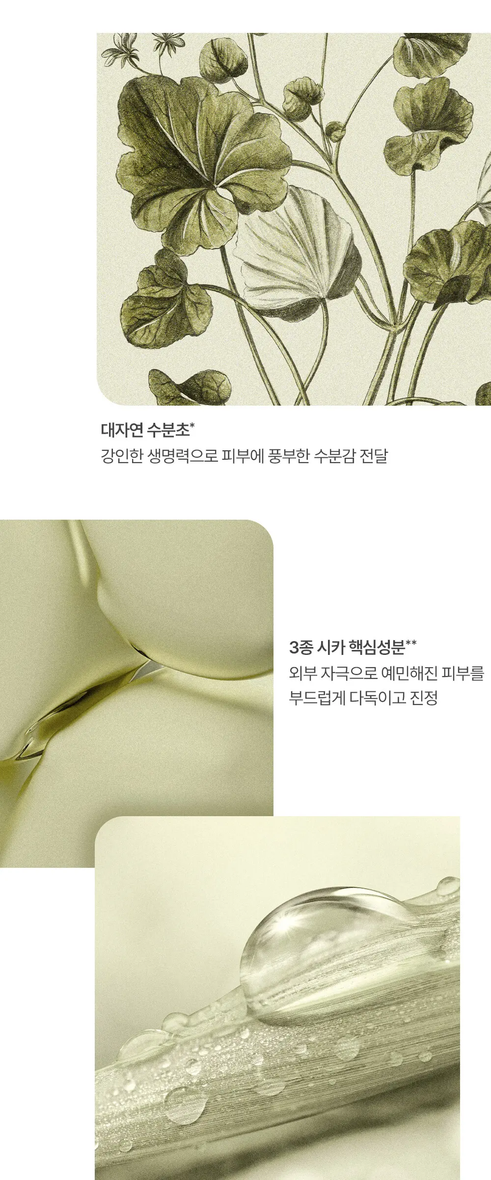 스킨 리페어 세럼 30ml Detail