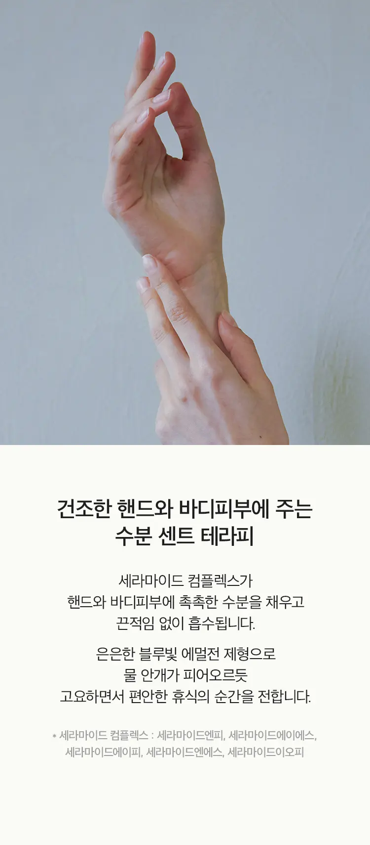 샤워타임 센티드 핸드&바디로션 450ml Detail