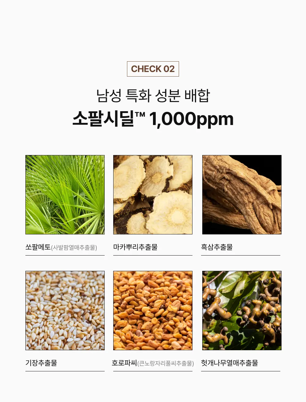 그로우턴 카페인 블랙 샴푸 500ml 1개 Detail