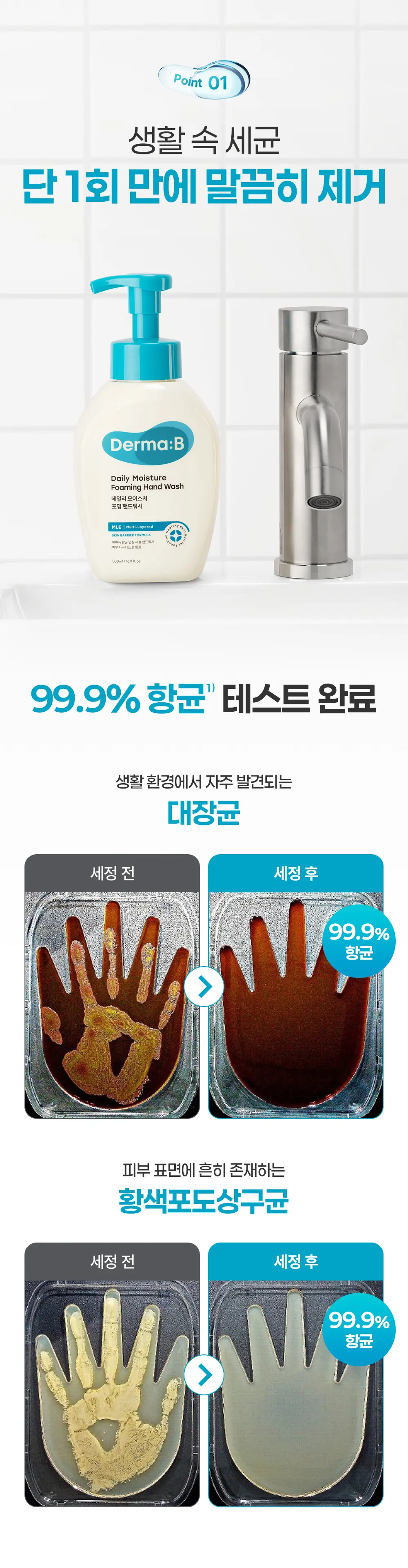 데일리 모이스처 포밍 핸드워시 500ML Detail