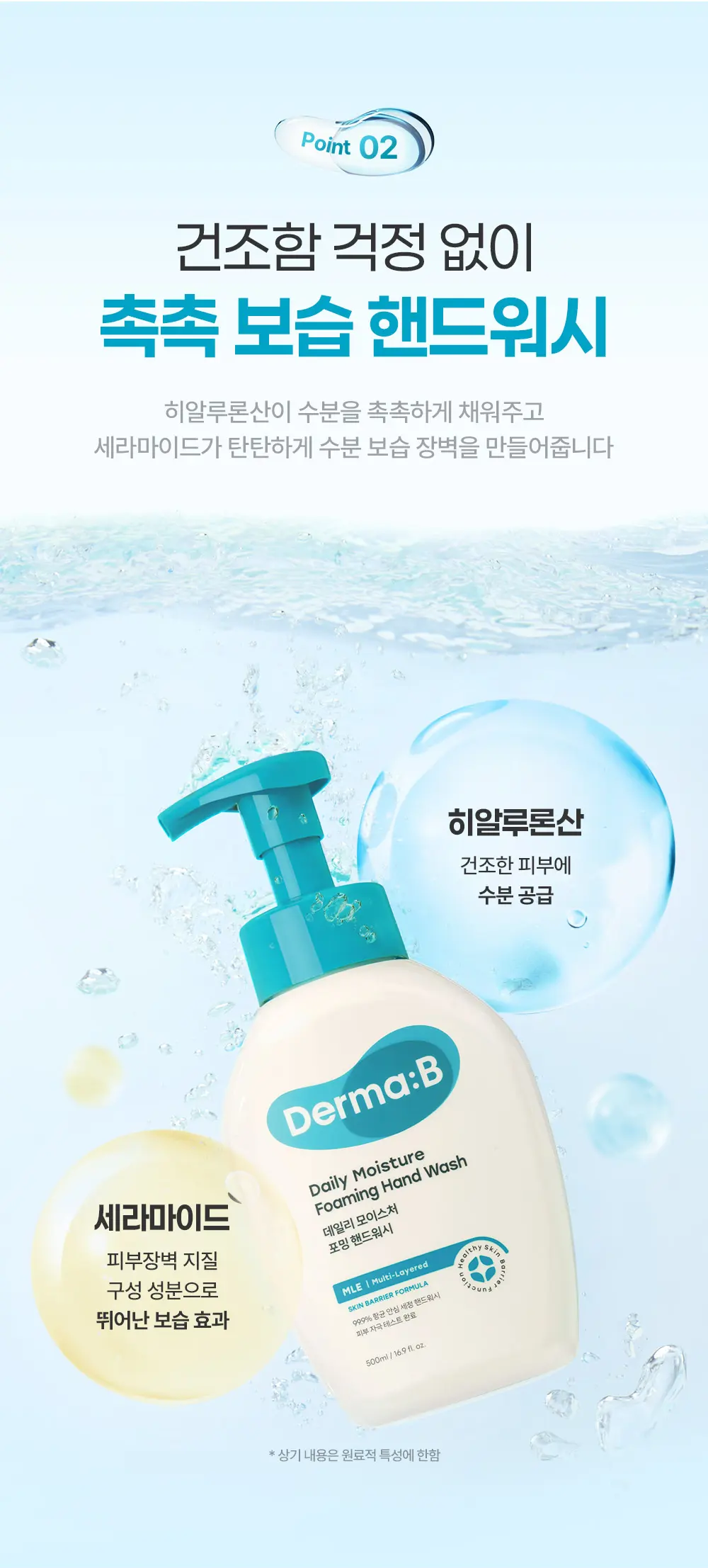 데일리 모이스처 포밍 핸드워시 500ML Detail
