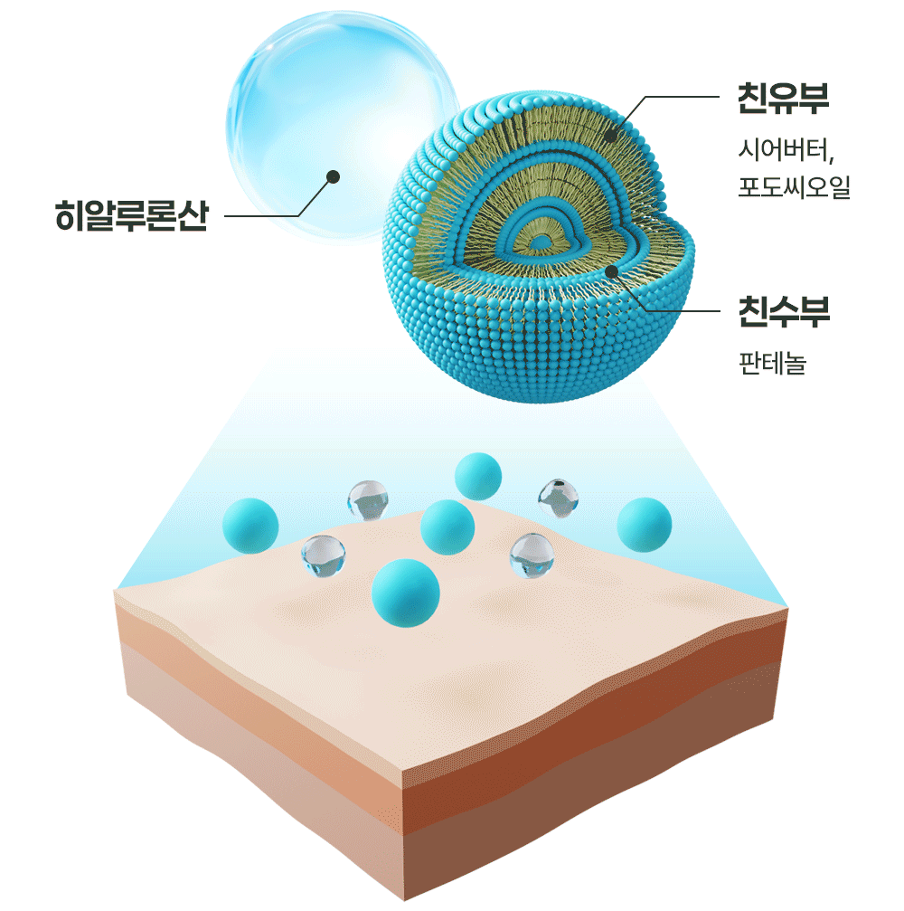 데일리 모이스처 포밍 핸드워시 500ML Detail