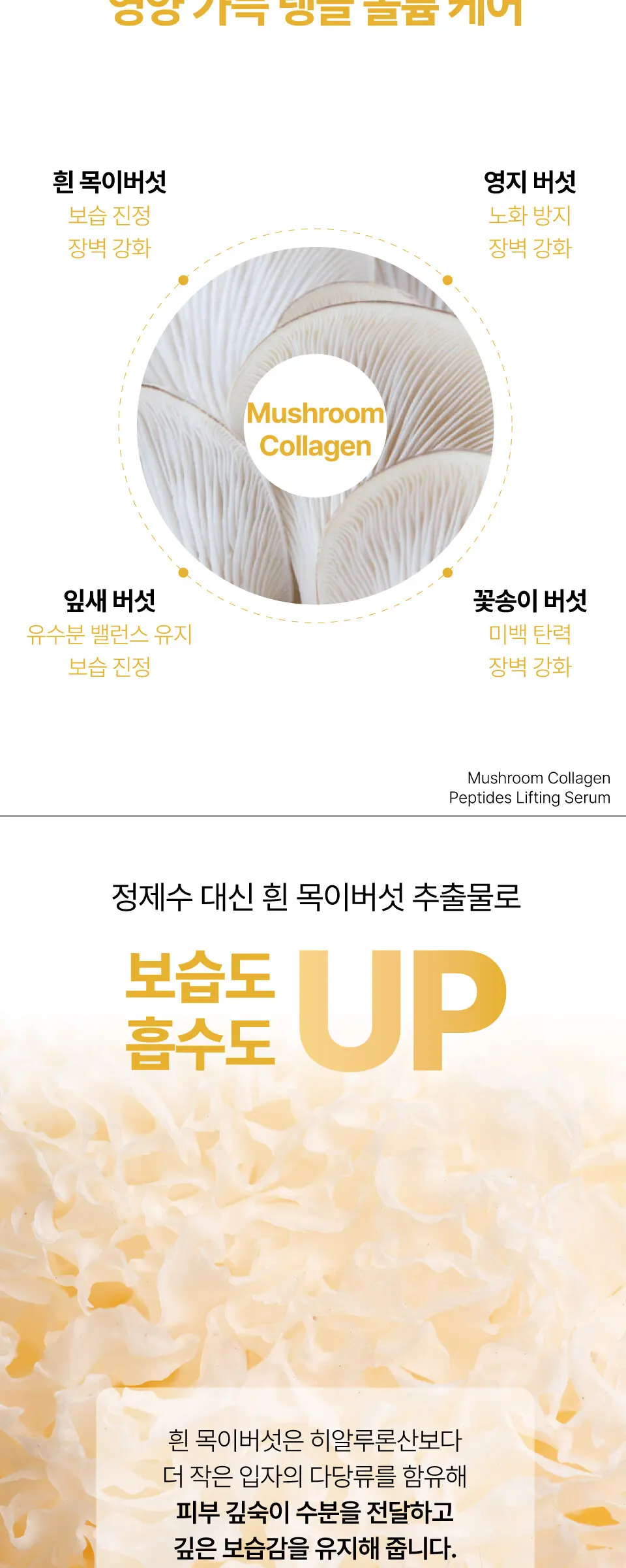 머쉬룸 콜라겐 펩타이드 리프팅 세럼 50ml Detail
