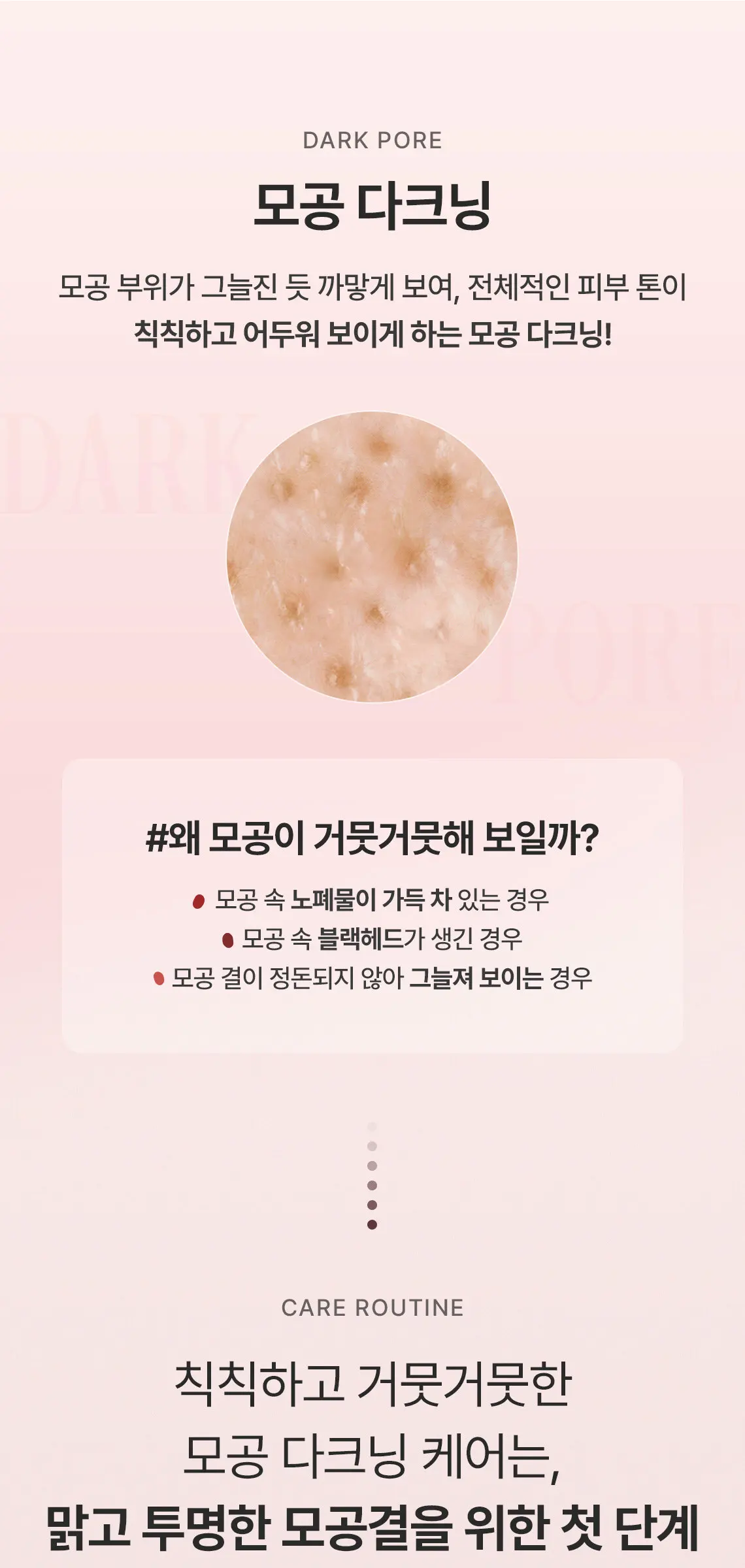 레드빈 트라넥사믹애씨드 세럼 50ml Detail