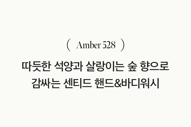 엠버528 센티드 핸드&바디워시 450ml Detail