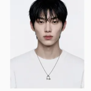 AAA HIGHTENSION General Line Necklace 19.