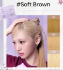 Soft Brown