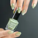 wihshyan Magnetic Nail Polish 9ml
