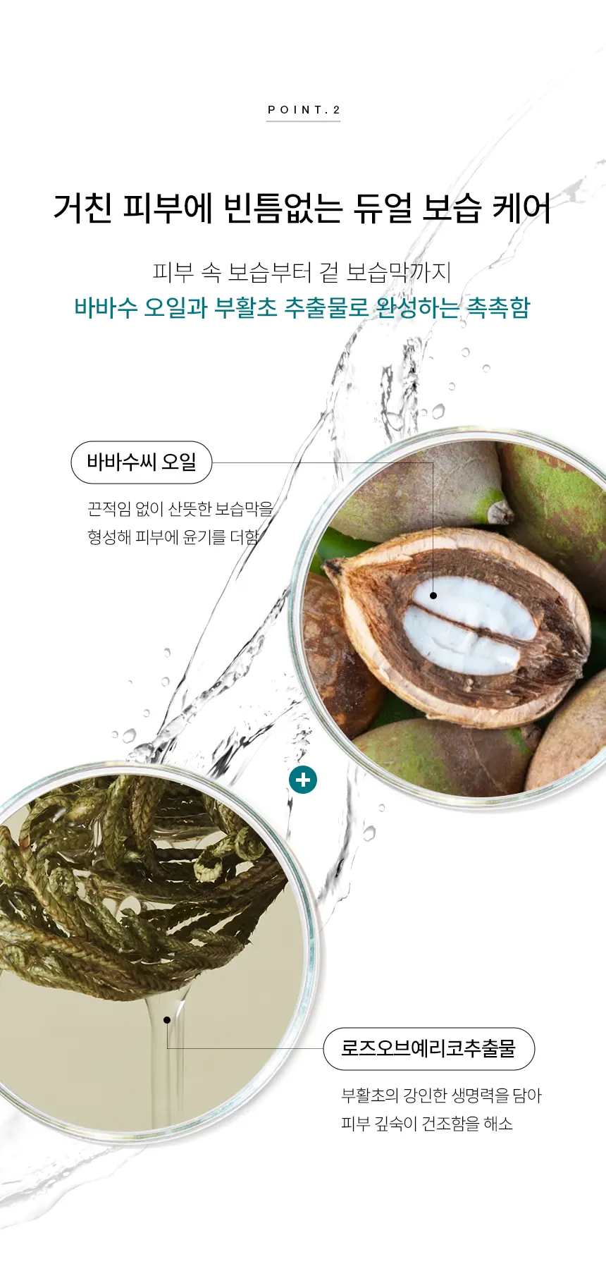 CIACLAR LEZE 바바수 듀얼 임팩터 앰플미스트 Detail