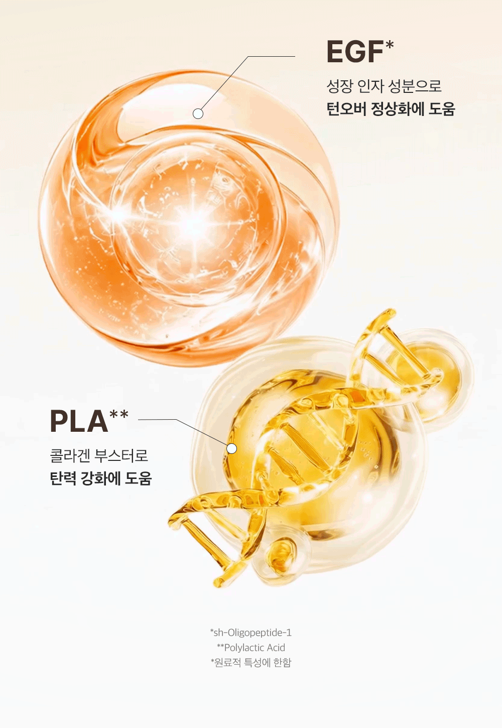 실크펩타이드 녹는실 EGF 괄사 크림 80ml Detail
