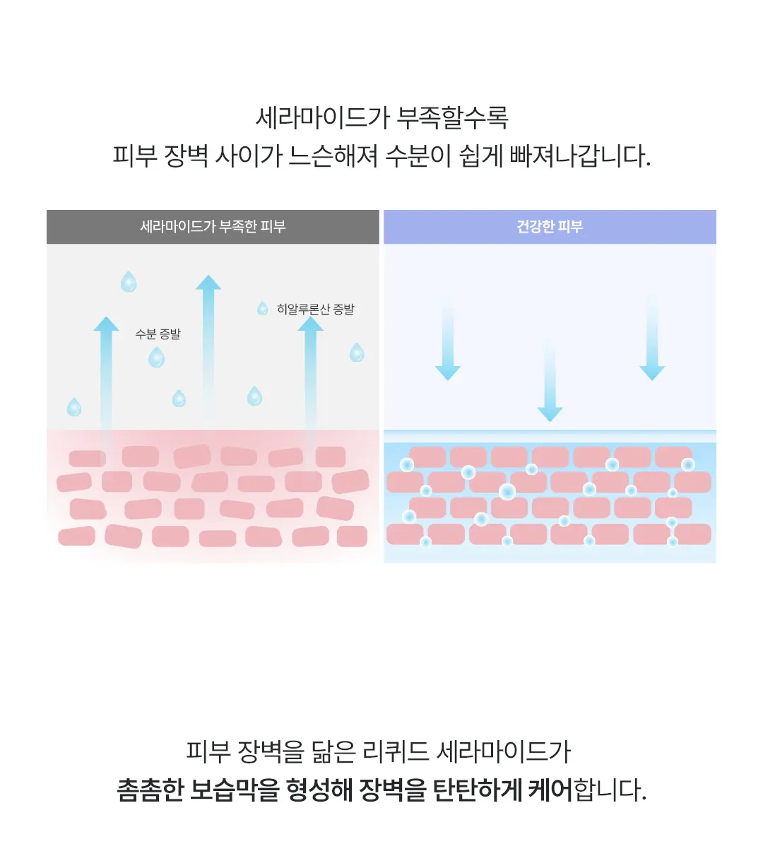 EGF 세럼 미스트 Detail