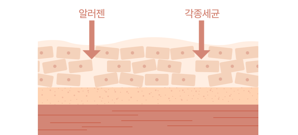 MLE 크림 스틱 밤 10G Detail