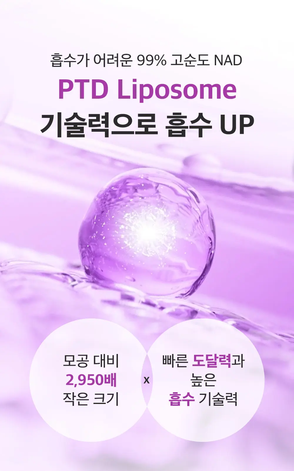 고순도 NAD 동결건조 비타민 액티브 부스팅 세럼 15ml Detail