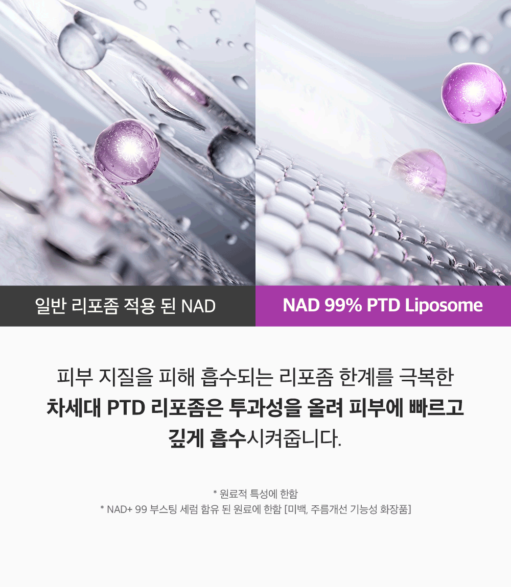 고순도 NAD 동결건조 비타민 액티브 부스팅 세럼 15ml Detail