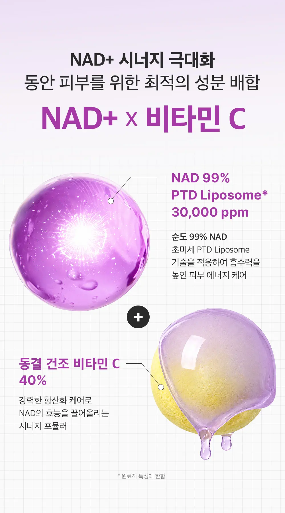 고순도 NAD 동결건조 비타민 액티브 부스팅 세럼 15ml Detail