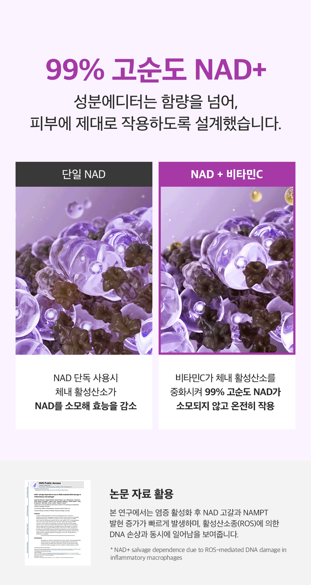 고순도 NAD 동결건조 비타민 액티브 부스팅 세럼 15ml Detail