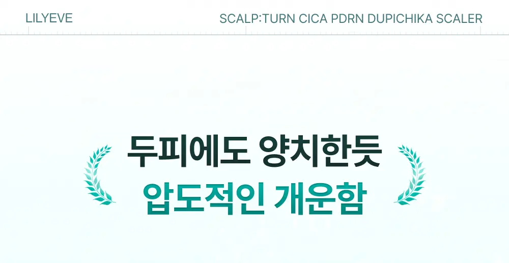 스칼프턴 시카 PDRN 두피치카 스케일러 140ml 1개 Detail