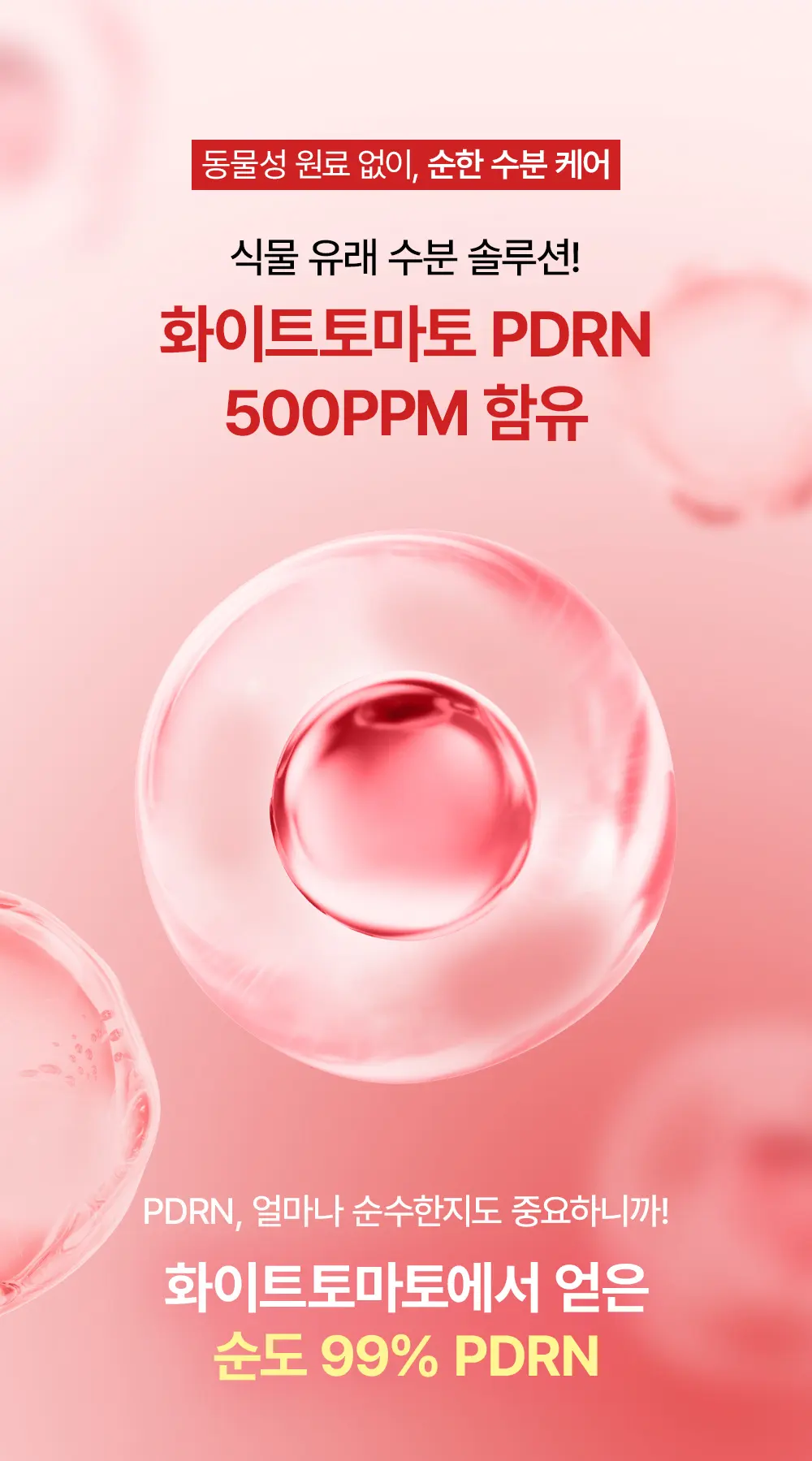 레드 히알루론산 PDRN 500 선앰플 50ml Detail