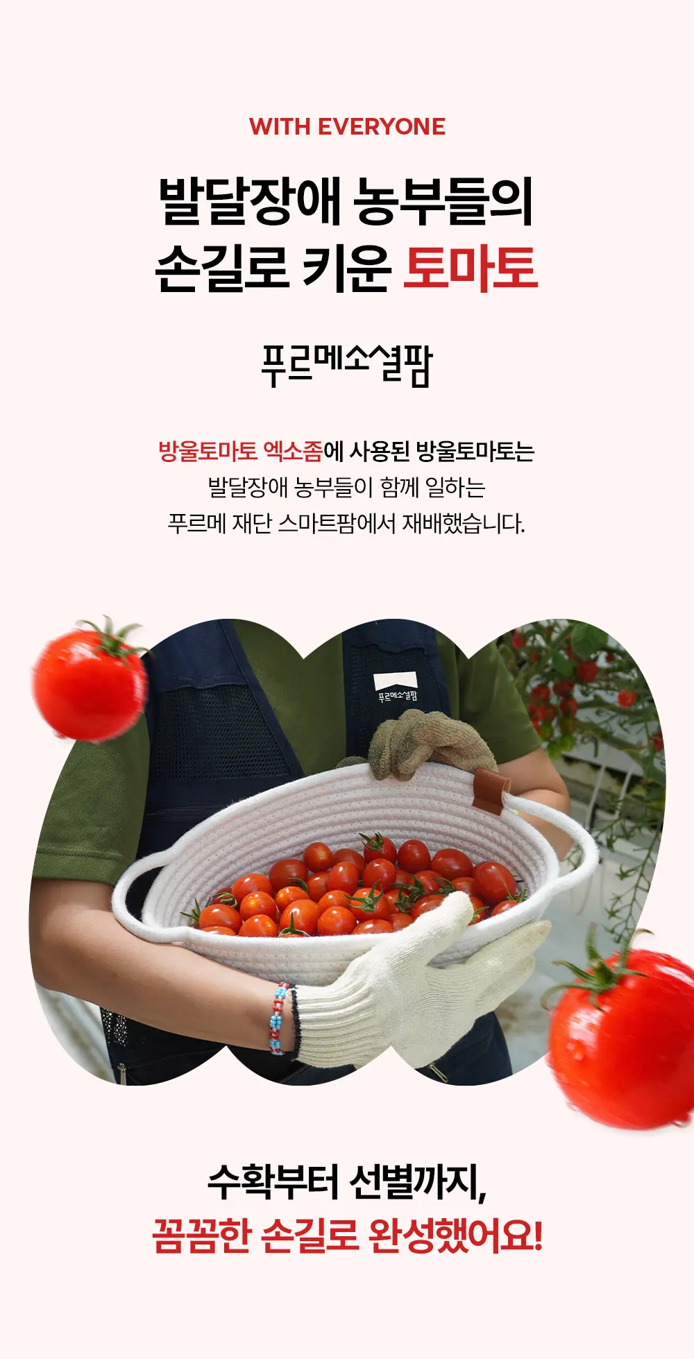 레드 히알루론산 PDRN 500 선앰플 50ml Detail