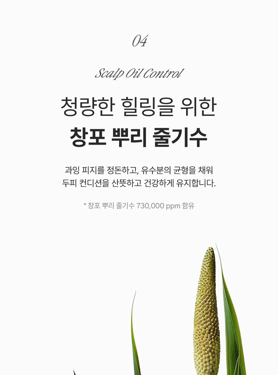 [청량 두피 케어] 다노날 창포 바이 엑소좀 스칼프 세럼 130ml | 올리브영 Detail