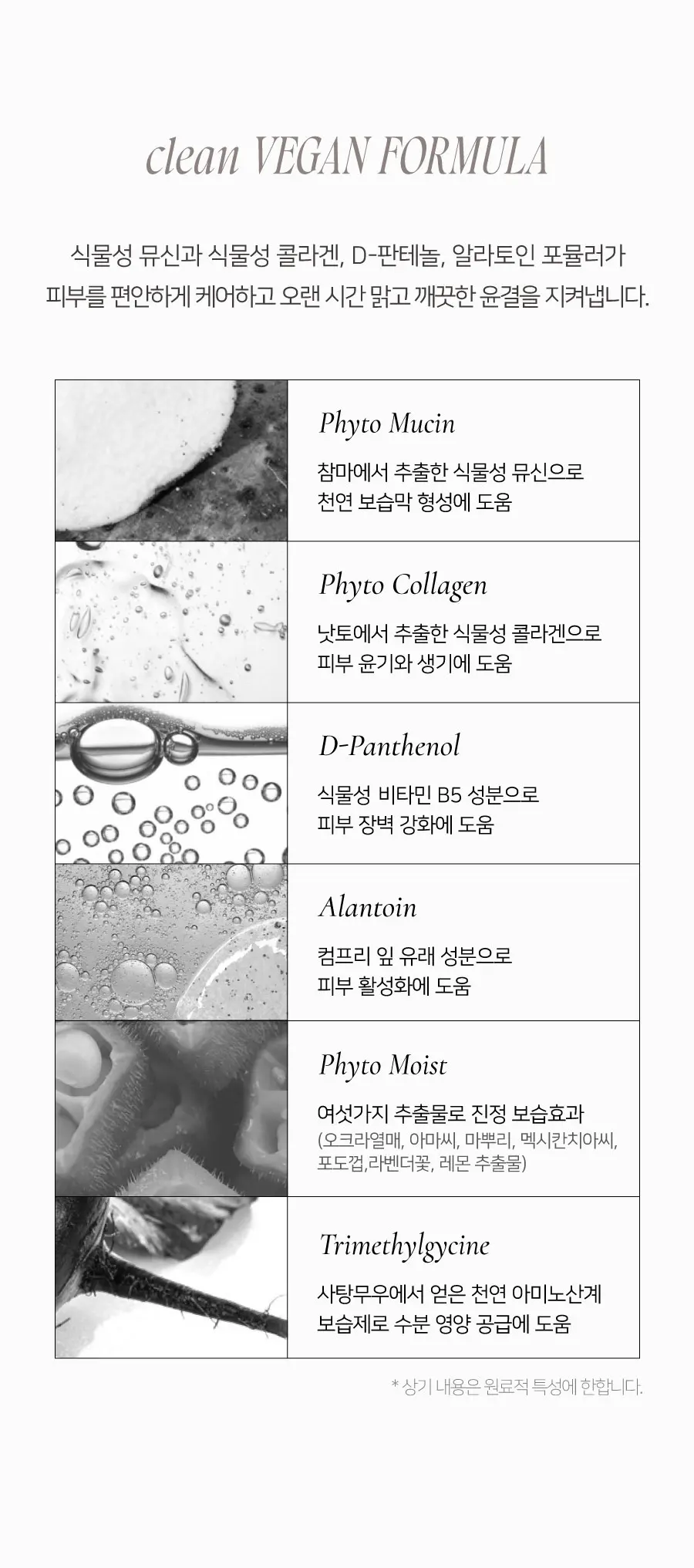 블러글로이 쿠션 본품 Detail