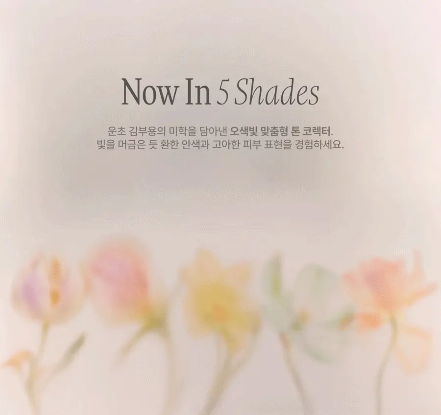 라이트베일 컬러코렉터 Detail