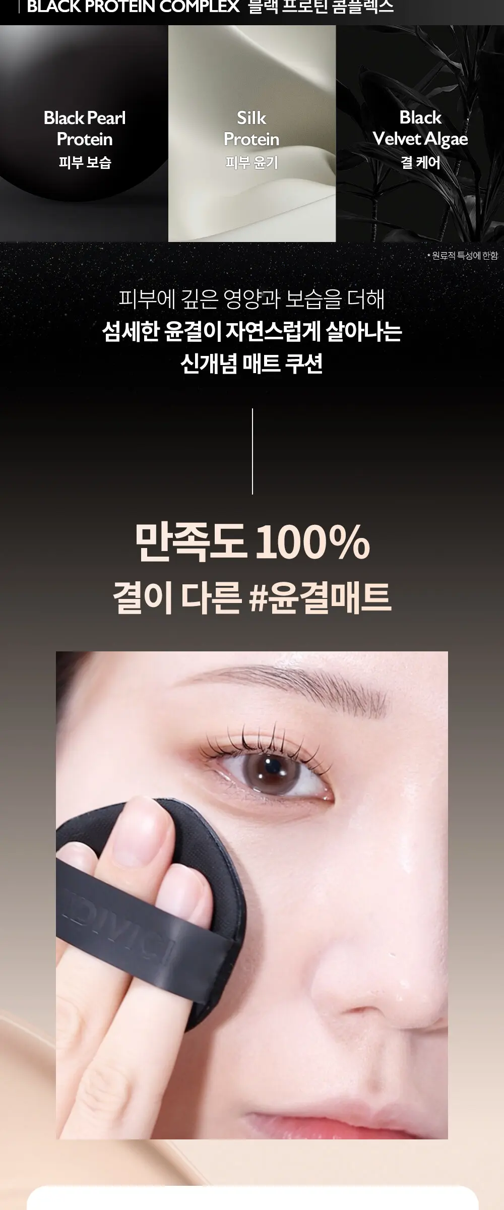 블랙 퍼펙션 커버 핏 쿠션 Detail