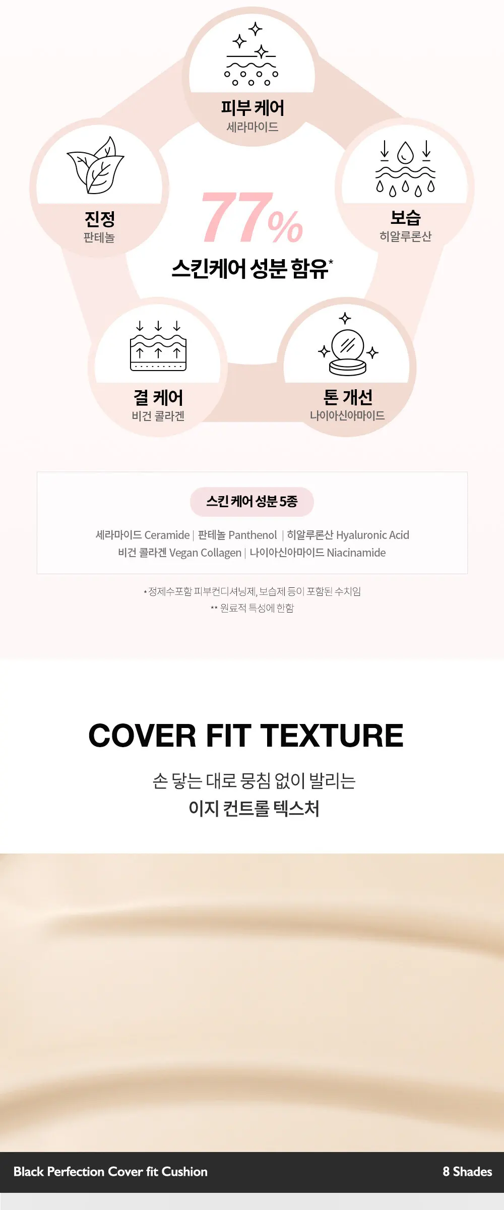 블랙 퍼펙션 커버 핏 쿠션 Detail