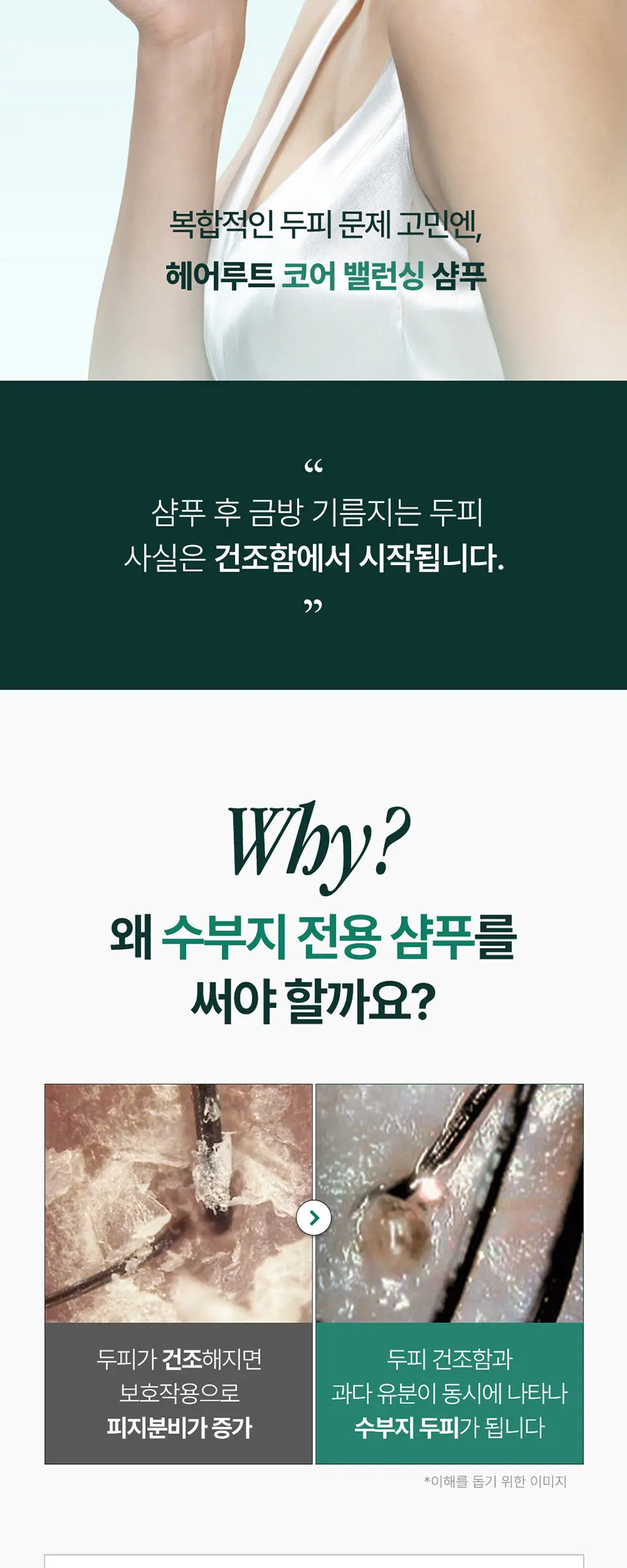 헤어루트 코어 밸런싱 샴푸 Detail