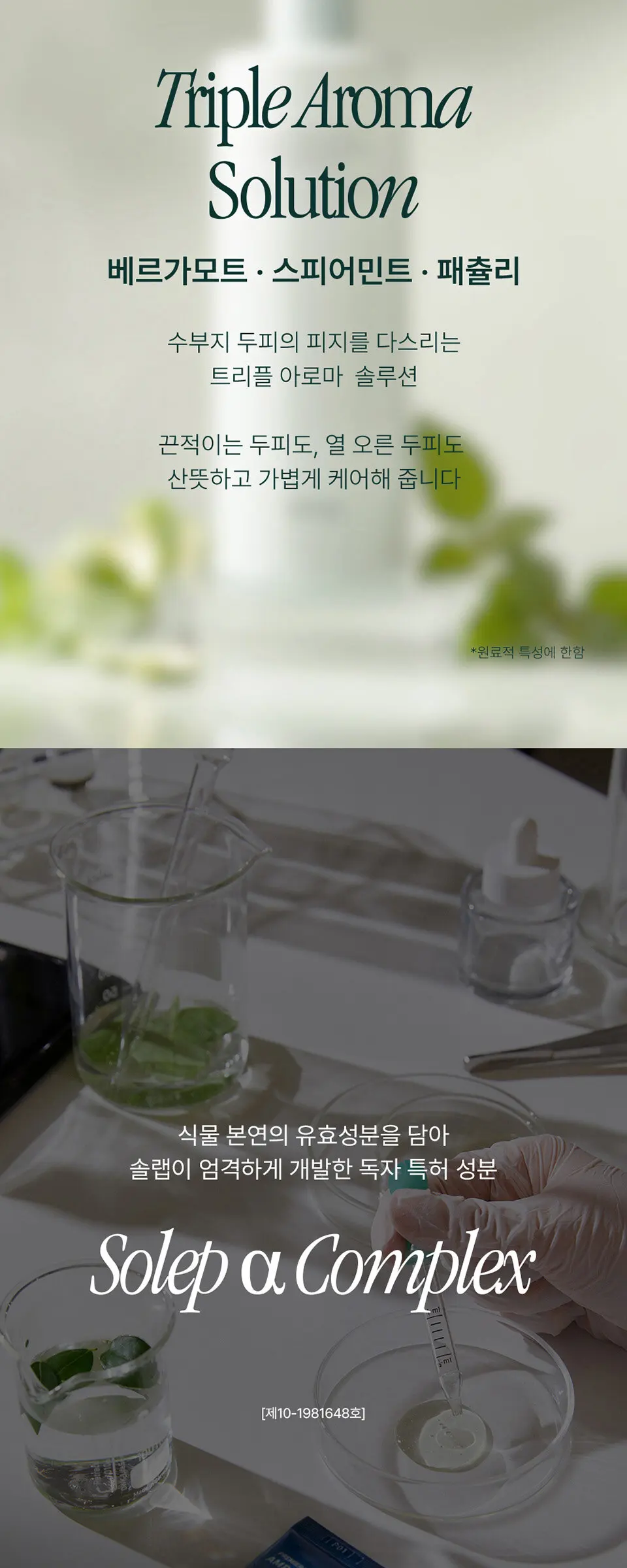 헤어루트 코어 밸런싱 샴푸 Detail