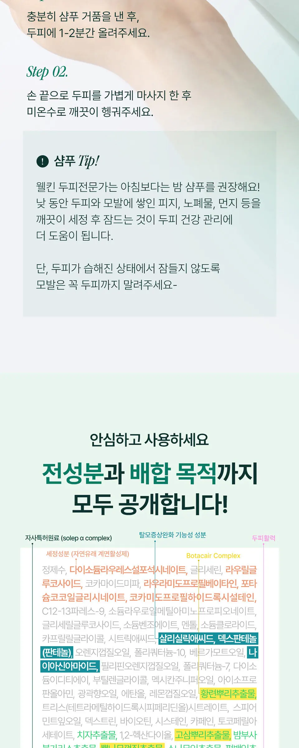 헤어루트 코어 밸런싱 샴푸 Detail