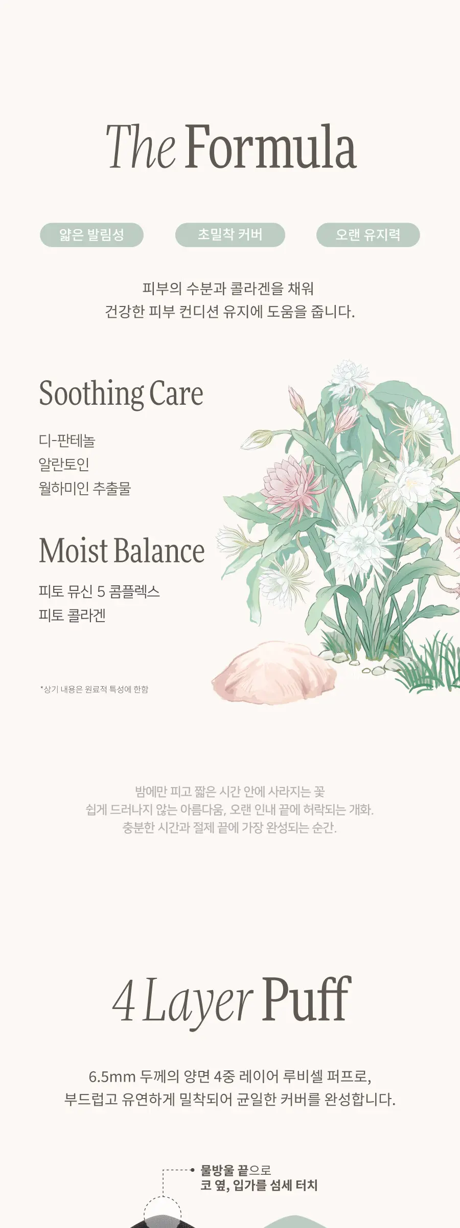 블러피니쉬 쿠션 Detail